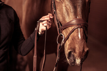 Horse and Rider Connection Portrait