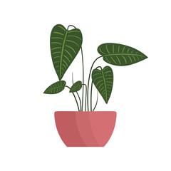 Philodendron Gloriosum tropical house plant in a pot with green leaves. Scandinavian cozy house plant Flat style design. Indoor plant  Isolated on white background. vector illustration © Narek