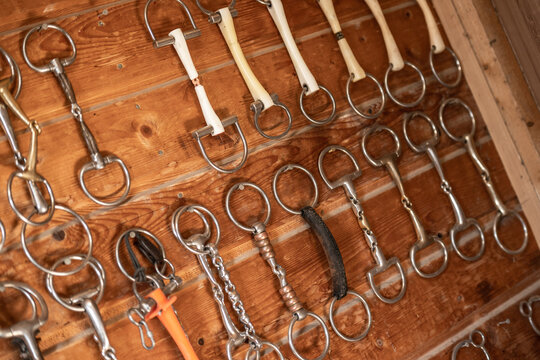 Horse Bits Hanging on the Wall Inside Tack Room at the Stables
