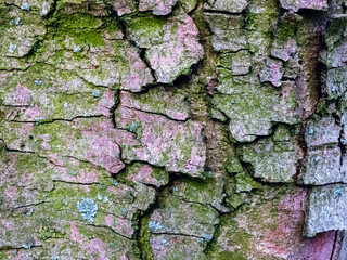 Wooden texture close up for AI image generation vivid colorful