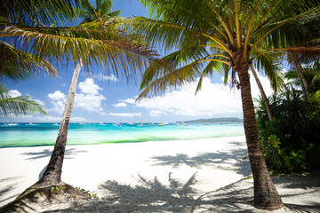 Pristine beach with palm trees, white sand and turquoise tropical sea. Travel destination