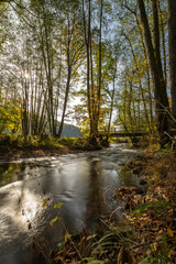 Die Schondra im Naturschutzgebiet Unteres Schondratal, zwischen der Gemeinde Heiligkreuz und Gräfendorf, Unterfranken, Franken, Bayern, Deutschland