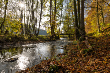 Die Schondra im Naturschutzgebiet Unteres Schondratal, zwischen der Gemeinde Heiligkreuz und Gräfendorf, Unterfranken, Franken, Bayern, Deutschland
