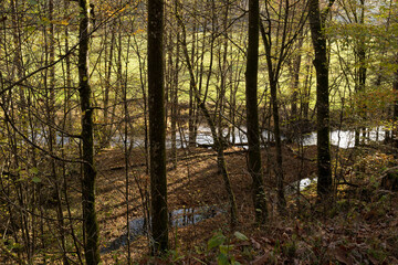 Das Naturschutzgebiet Unteres Schondratal, zwischen der Gemeinde Heiligkreuz und Gräfendorf, im Biosphärenreservat Rhön und dem  Naturpark Spessart, Unterfranken, Franken, Bayern, Deutschland
