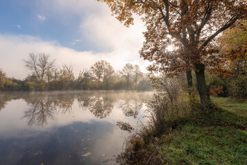 Sonnenaufgang im Nebel &uuml;ber den NSG Altmain bei Grafenrheinfeld, Landkreis Schweinfurt, Unterfranken, Franken, Bayern, Deutschland