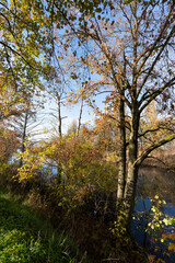 Naturschutzgebiet Altmain bei Grafenrheinfeld, Landkreis Schweinfurt, Unterfranken, Franken, Bayern, Deutschland