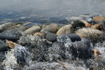 A small waterfall in a stony river.