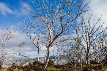  Kosciuszko National Park