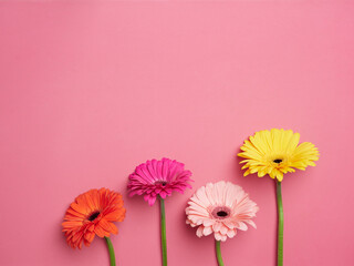 Spring floral bloom concept. Four flowers in orange, fuchsia, pink and yellow colors with green...
