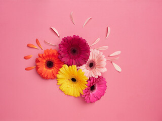 Spring concept. Top view of floral bouquet with five flowers each of one color: yellow, orange, pink, fuchsia and burgundy on pink background and petals detached. Flat design, top view, copy space. - obrazy, fototapety, plakaty