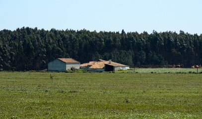 Casas abandonadas en Rogil, Algarve © BestTravelPhoto