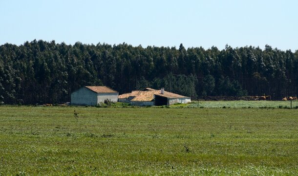 Casas abandonadas en Rogil, Algarve