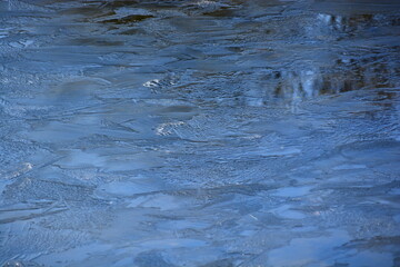 Dia frio helado paseando por las inmediaciones del pantano de Pedrezuela , Madrid 