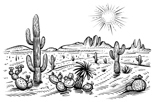 Desert western landscape sketch. Vector black and white illustration with saguaro cacti, sun, and rocks.