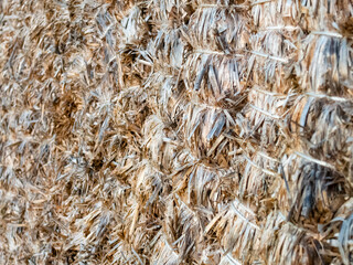 Wooden texture close up for AI image generation vivid colorful