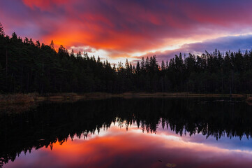 Forest reflection in still lake at sunset