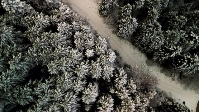Chillin' in the Snow: Aerial View of Winter Magic&mdash;Mountains, Snowy Pines, White road and National Park Vibes