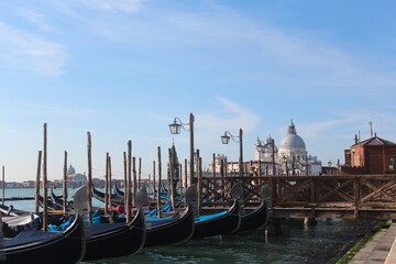 Venice beaches, gondolas, churches, St. Mark's City Square, the tower in the square, the church, the medieval and Roman artifacts, the canals in the city, the gondolas going on the canals and the sea,