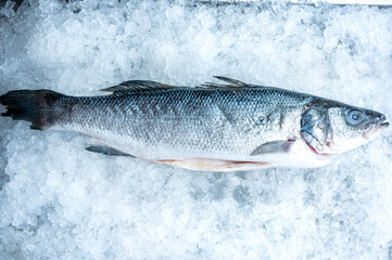 fresh salmon on ice