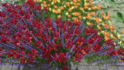 3D illustration of a modern landscape design of a city square. Computer visualization of landscaping. Contrasting composition from a group of plants.