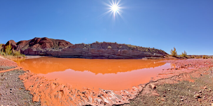 The red water of Lithodendron Wash in Petrified Forest National Park Arizona. The red color is from the bentonite clay in the surrounding hills.