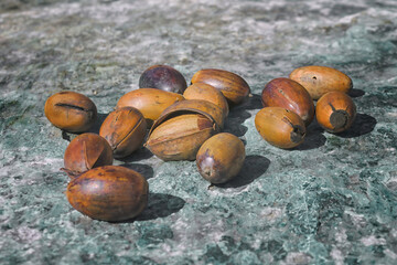A bunch of dry oak acorns on the background of a stone surface top view.