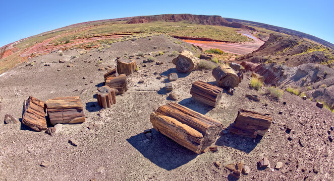 Petrified Wood on the summit of Squared Off Butte along the Onyx Trail in Petrified Forest National Park Arizona.