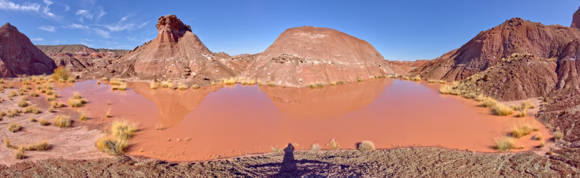 A marshy watering hole in Petrified Forest National Park Arizona called Tiponi Flats.