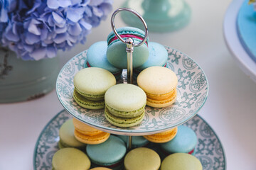 dish with the traditional French sweet ( macarons )