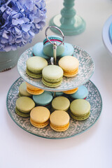 dish with the traditional French sweet ( macarons )