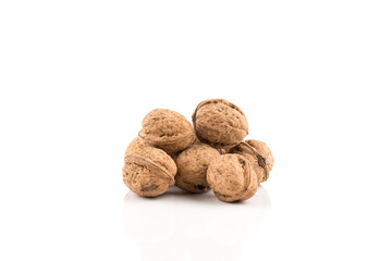 Walnut nut on white