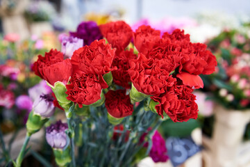 Red carnation flowers sold at the farmers market