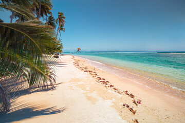 Sunny tropical Caribbean Island Tobago. Coconut palm trees, white sand beach,sunshine and turquoise water. Holiday s paradise.