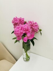Obraz premium Bouquet of peony in a glass vase on the table.