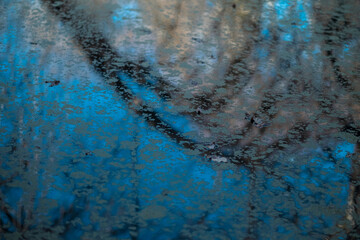 The water surface of the forest pond.