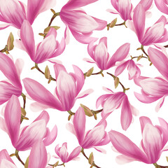 Beautiful pink magnolia. Flowers set with Magnolia flowers. Isolated elements with Magnolia flowers, brunches and leaves