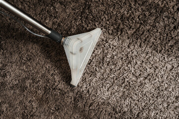 Line on carpet after spraying water of dry cleaning extractor mop machine close-up. Domestic...
