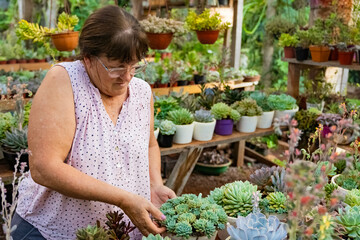 female person working in the care and attention of the ornamental plant nursery.