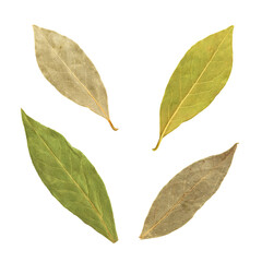 Fototapeta premium Set of laurel leaves on a transparent background. isolated object. Element for design