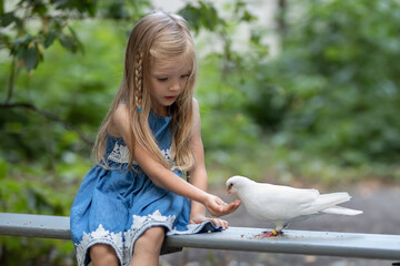A little girl with long blond hair feeds a white dove in the park - obrazy, fototapety, plakaty