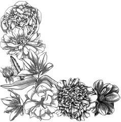Summer flowers border in vintage style. Sketched garden plants frame design. For greeting cards, wedding invites, and floral banners. Hand-drawn botanical illustration with floral sketches.