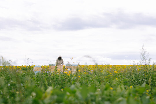 Nature apiarist agriculture job