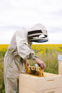 Apiarist harvest honeycomb agriculture 