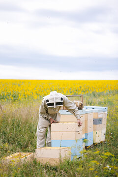 Farmer apiary hive agriculture 