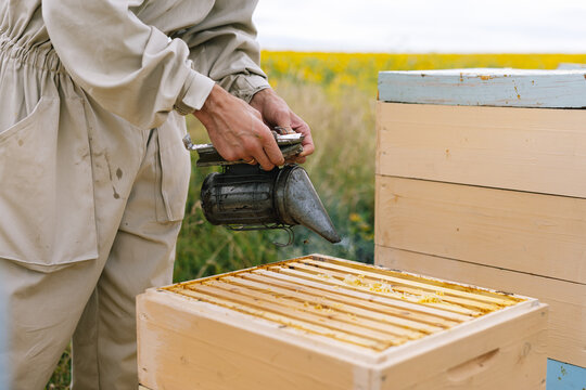 Anonym beehive bee smoker 