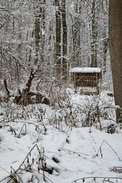 wooden feeder for wild animals in winter