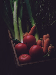 hand holding a bunch of onions