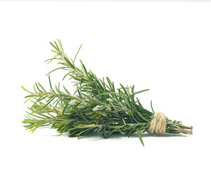 bunch of fresh rosemary over whit back ground, fresh 