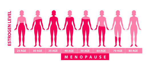Estrogen harmone level. Graphic diagram with women body silhouette, harmone level and age data.