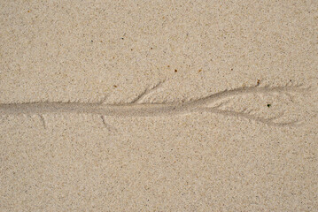 Fototapeta na wymiar Natural texture of sand. Abstract beautiful drawings on the sand. Paintings in the sand 